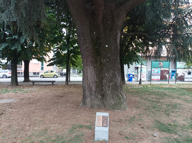 La targa davanti al cedro piantato da Nora Pons