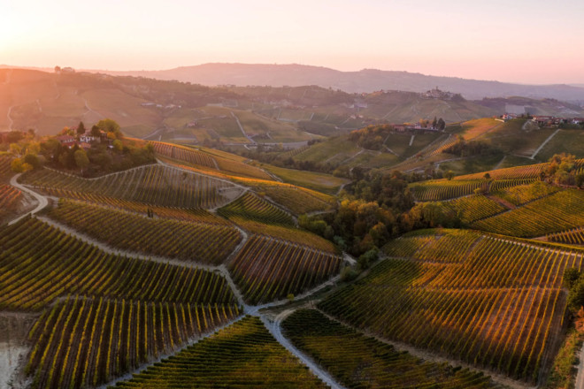 Nuovi vertici per Visit Piemonte. La presidenza resta in provincia di Cuneo (in foto uno scorcio delle Langhe dalle pagine dello stesso portale di promozione turistica)