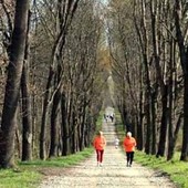 Ultimo appuntamento fissato per sabato 16 settembre al parco La Mandria