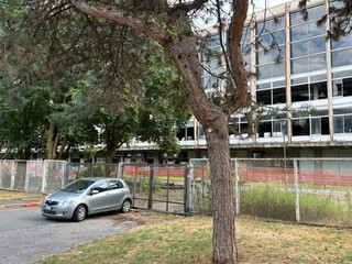 Mini lepri a spasso per il parco Mini lepri a spasso per il parco