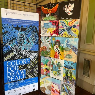 A Palazzo Birago aperta la mostra Colors for draw peace