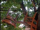 Sedie e materassi accantonati sugli alberi Sedie e materassi accantonati sugli alberi