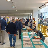 Convegno dedicato a filatelia e numismatica, Molephil torna anche quest'anno negli spazi del parco culturale "Le Serre" di Grugliasco