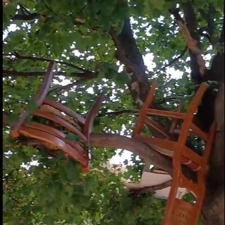 Sedie e materassi accantonati sugli alberi