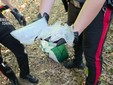 Maxi blitz tra Torino e Canavese: scoperto arsenale e droga nei boschi