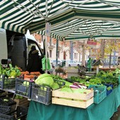 Novità per il mercato Campanella