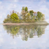 “Metamorphoseon”, alla Casa del Conte Verde un viaggio tra arte e natura “Metamorphoseon”, alla Casa del Conte Verde un viaggio tra arte e natura