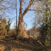 Sulle colline di Cesare Pavese: Pino Torinese presenta il libro “L’altra collina”