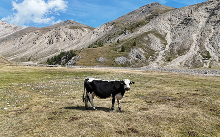 1,5 milioni per le imprese delle valli Maira, Grana, Lanzo e Bormida 1,5 milioni per le imprese delle valli Maira, Grana, Lanzo e Bormida