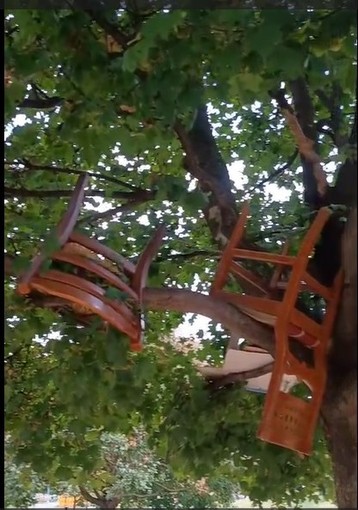 Sedie e materassi accantonati sugli alberi