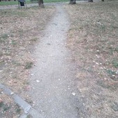 Le condizioni del giardino Green