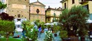 A Giaveno torna “Maggionatura”