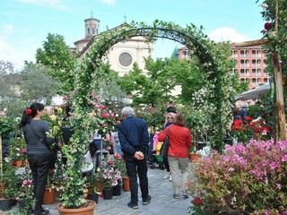 A Giaveno torna “Maggionatura”