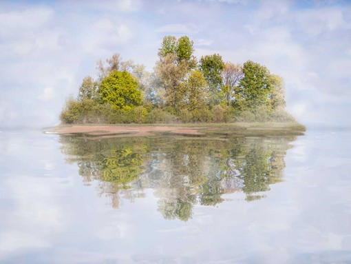 “Metamorphoseon”, alla Casa del Conte Verde un viaggio tra arte e natura