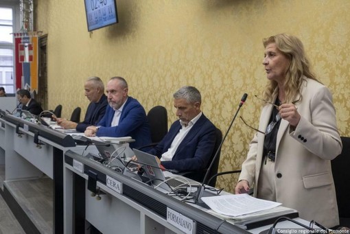 La garante Monica Formaiano durante la sua relazione