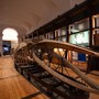 Museo Regionale di Scienze Naturali aperto gratuitamente ad agosto Museo Regionale di Scienze Naturali aperto gratuitamente ad agosto