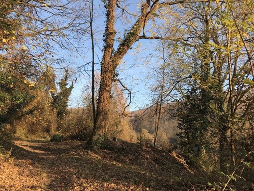 Sulle colline di Cesare Pavese: Pino Torinese presenta il libro “L’altra collina”