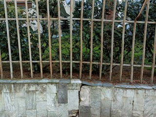 I marciapiedi della zona di Nizza Millefonti I marciapiedi della zona di Nizza Millefonti