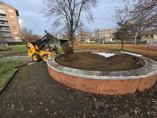 Un melograno in ricordo dei femminicidi al parco Falcone e Borsellino di Collegno