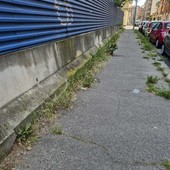 Il marciapiede di via Vipacco