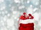 Presepe vivente e bancarelle: domani None festeggia il Natale