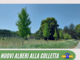 Nuovi alberi piantati alla Colletta