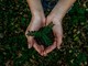Noah Buscher- unsplash
