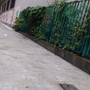 I nuovi marciapiedi di via Alimonda