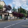 La nuova fermata del Gtt La nuova fermata del Gtt