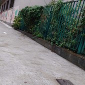 I nuovi marciapiedi di via Alimonda I nuovi marciapiedi di via Alimonda