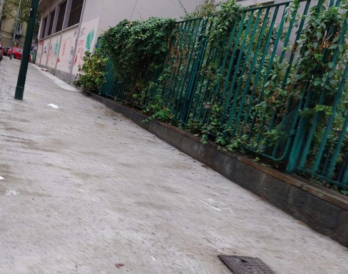 I nuovi marciapiedi di via Alimonda I nuovi marciapiedi di via Alimonda