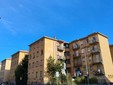 A Nizza Millefonti il progetto "Biglieri Domani" batte la solitudine con l'arte A Nizza Millefonti il progetto "Biglieri Domani" batte la solitudine con l'arte