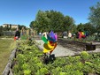 Taglio del nastro per il nuovo orto botanico Taglio del nastro per il nuovo orto botanico