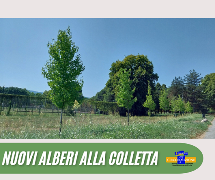 Nuovi alberi piantati alla Colletta