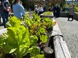 Taglio del nastro per il nuovo orto botanico Taglio del nastro per il nuovo orto botanico