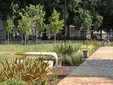 Un giardino che dialoga con le scuole Un giardino che dialoga con le scuole