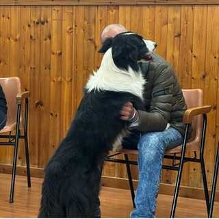 Nichelino, al via i progetti di pet therapy alla comunità Nikodemo Nichelino, al via i progetti di pet therapy alla comunità Nikodemo
