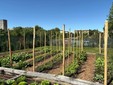 Taglio del nastro per il nuovo orto botanico Taglio del nastro per il nuovo orto botanico