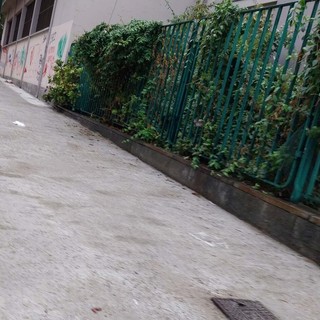 I nuovi marciapiedi di via Alimonda