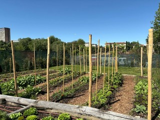 Taglio del nastro per il nuovo orto botanico Taglio del nastro per il nuovo orto botanico