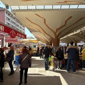 Tubo di scarico otturato, l’acqua invade i pozzetti del mercato