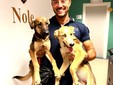 I cani salvati a Nole I cani salvati a Nole