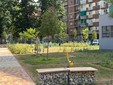 Un giardino che dialoga con le scuole Un giardino che dialoga con le scuole