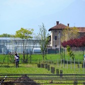 Area "Settecampi", novità e conferme nel parco agroambientale di Grugliasco