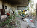 Abbandono nell'ex Osi Ghia