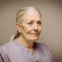 Vanessa Redgrave al Torino Film Festival riceve la Stella della Mole