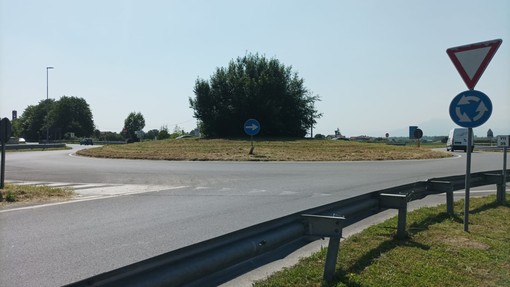 Erba alta alle rotonde di Osasco: dopo il trattore, entra in azione l’Anas Erba alta alle rotonde di Osasco: dopo il trattore, entra in azione l’Anas