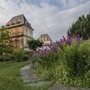 L'orto botanico di Torino
