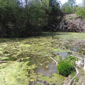 Un giorno nella Valle di Susa di duemila anni fa, domenica aprono le Ville romane di Almese e Caselette Un giorno nella Valle di Susa di duemila anni fa, domenica aprono le Ville romane di Almese e Caselette