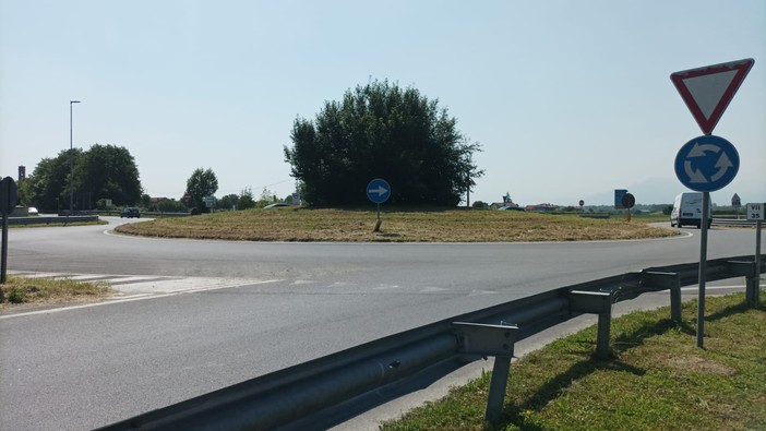 Erba alta alle rotonde di Osasco: dopo il trattore, entra in azione l’Anas Erba alta alle rotonde di Osasco: dopo il trattore, entra in azione l’Anas